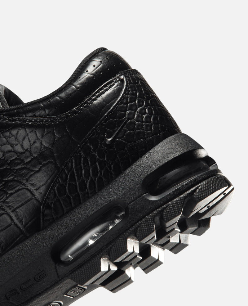 Nike Air Max Goadome Low (Black) Nike
